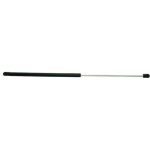 BONNET STRUT