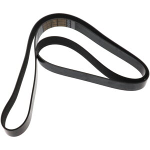 DAYCO V Ribbed Belt to suit SCANIA