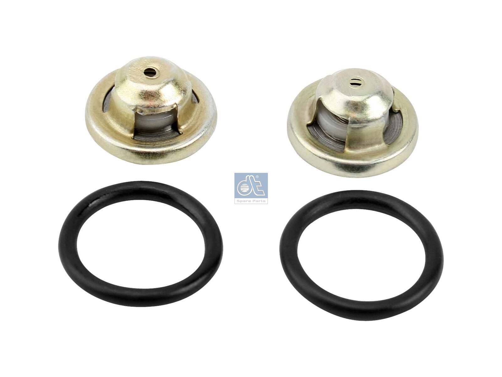 DT Spare Parts 4.90310 Repair kit, feed pump